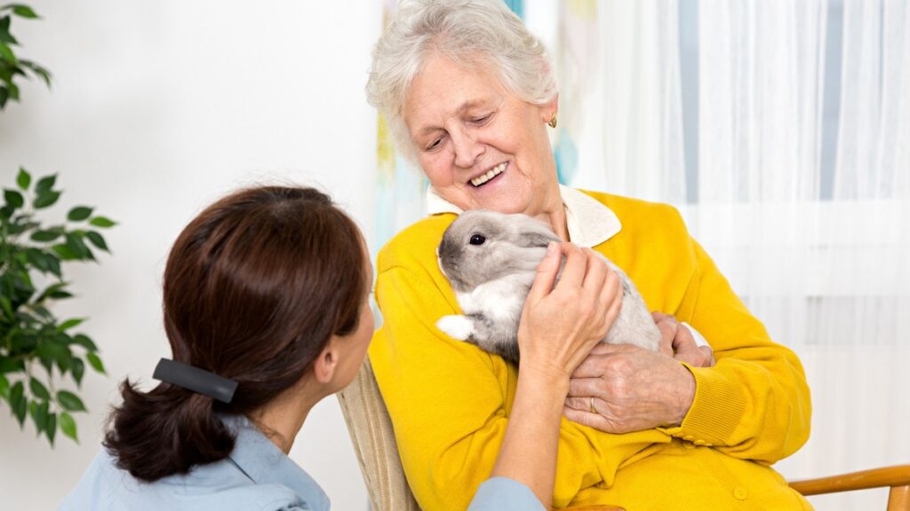 Pet Therapy for Seniors: How It Works in Adult Daycare