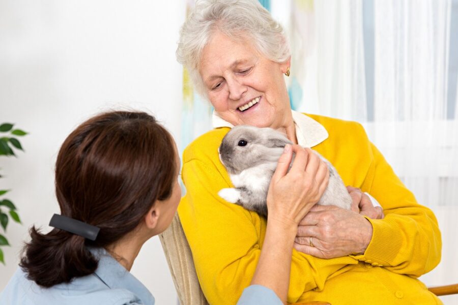 Pet Therapy for Seniors: How It Works in Adult Daycare