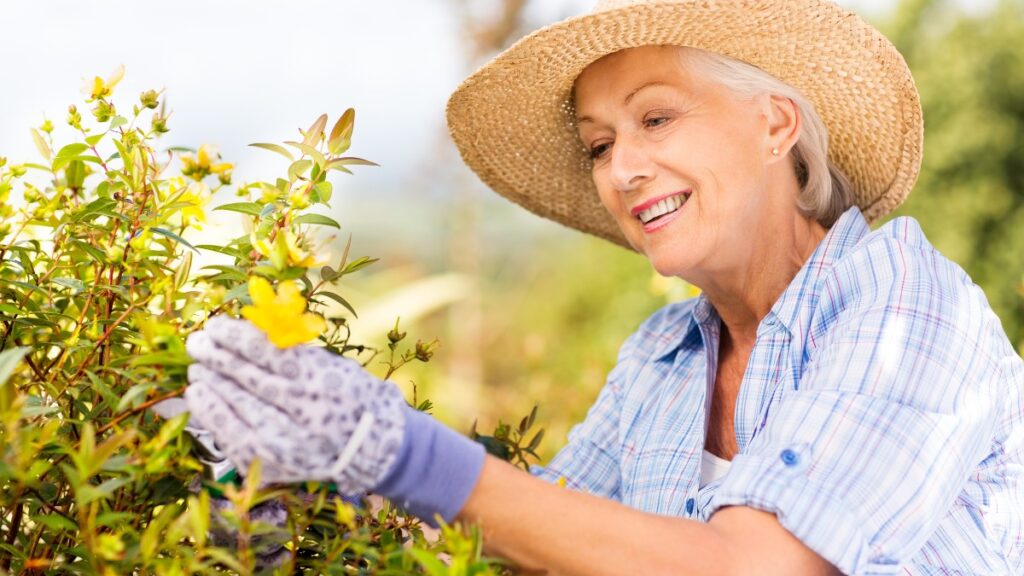 Gardening Therapy: The Benefits for Seniors in Adult Daycare