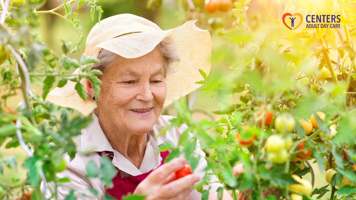 Gardening Therapy: The Benefits for Seniors in Adult Daycare