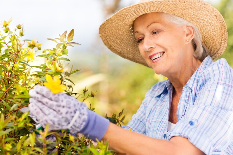 Gardening Therapy: The Benefits for Seniors in Adult Daycare