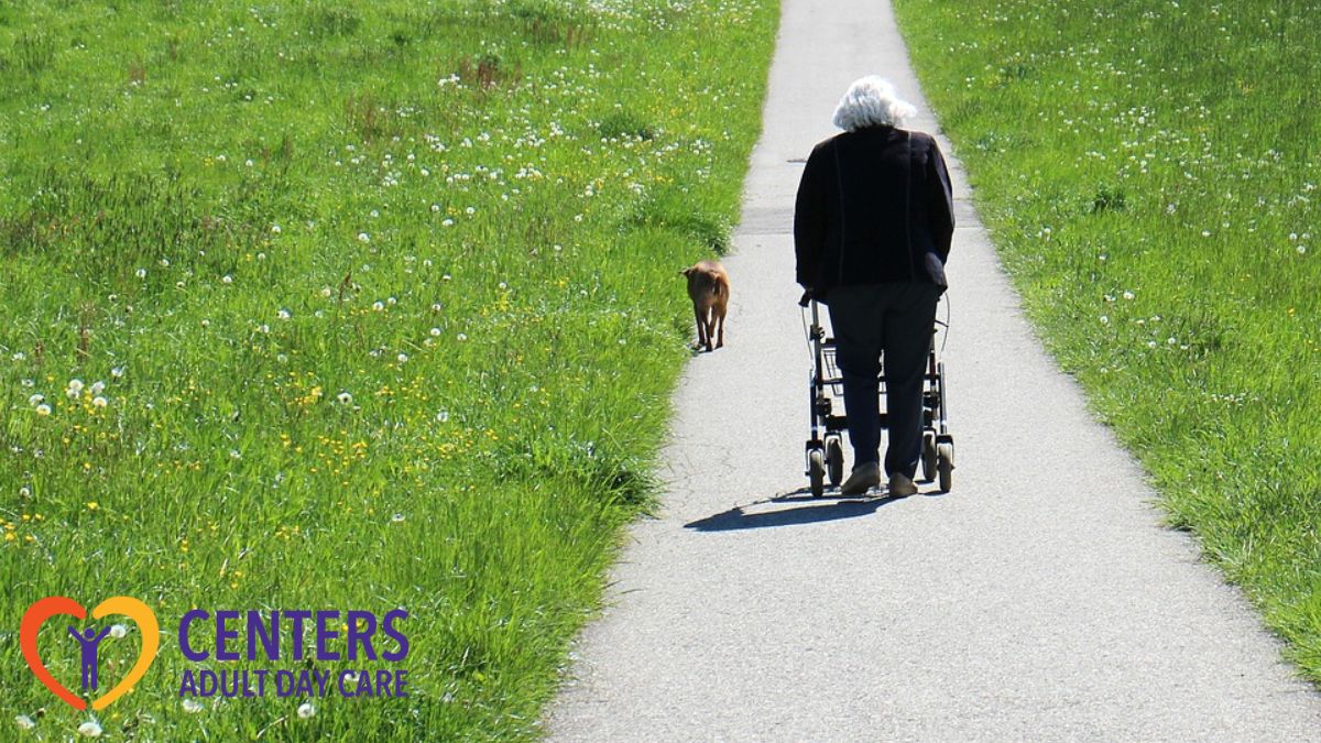 A woman using a walker walks near a wide expanse of lawn with a dog beside her, her back turned to the camera.